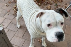 E4D890FF-3278-44E5-895A-2BD9DDF94448_1_105_c